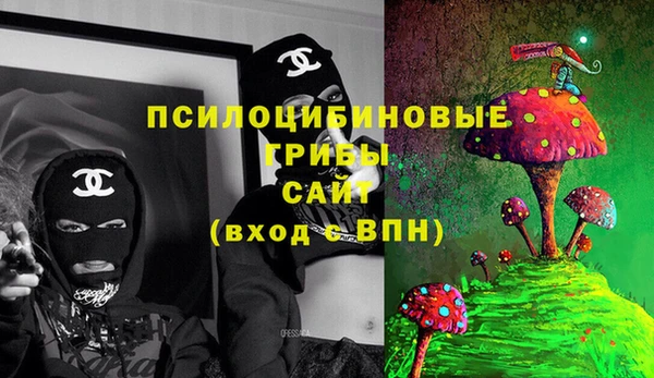 твердый Алексеевка